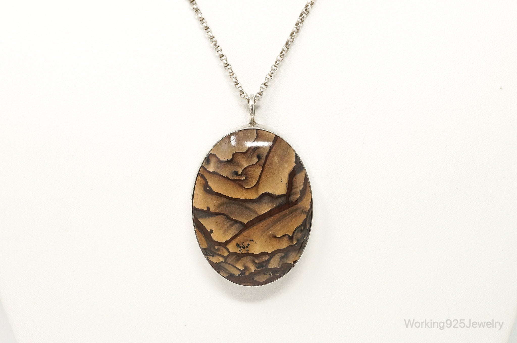 Vintage Unsigned Native American Large Picture Jasper Sterling Silver Necklace