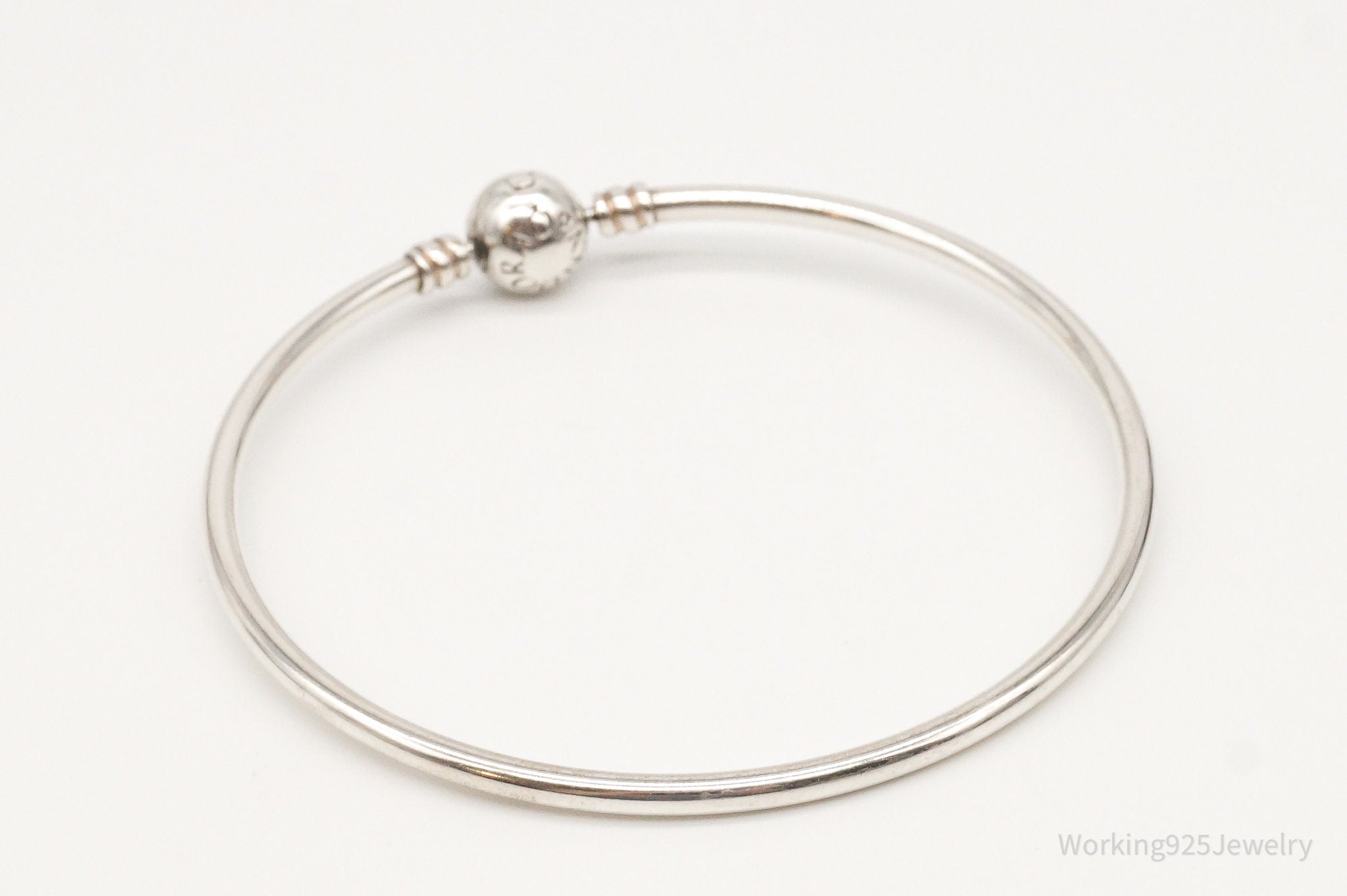 Designer Pandora ALE Charm Sterling Silver Charm Bracelet