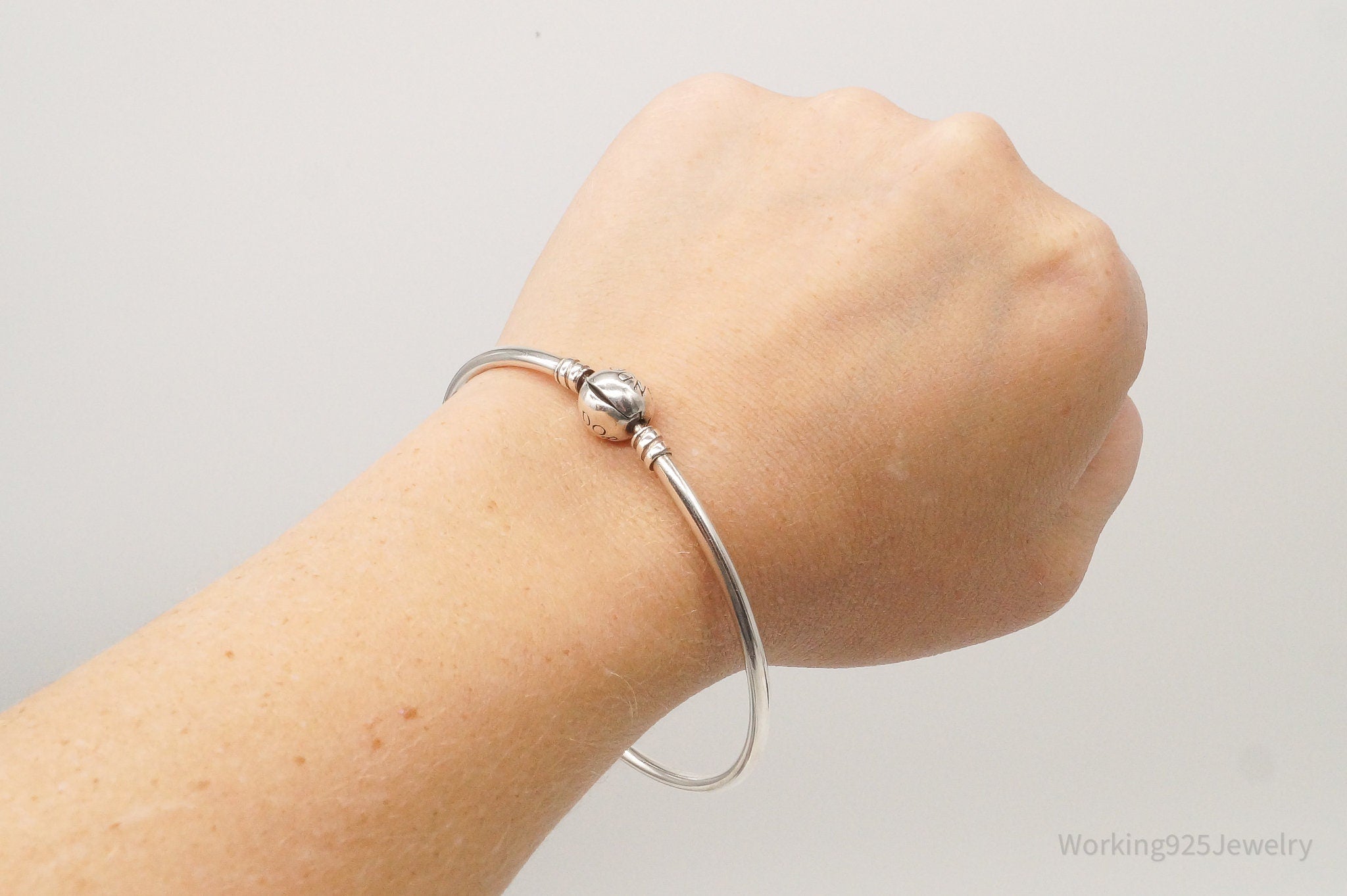 Designer Pandora ALE Charm Sterling Silver Charm Bracelet